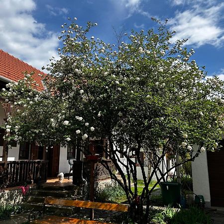 Apartament Magnolia Garden Miszkolc Zewnętrze zdjęcie