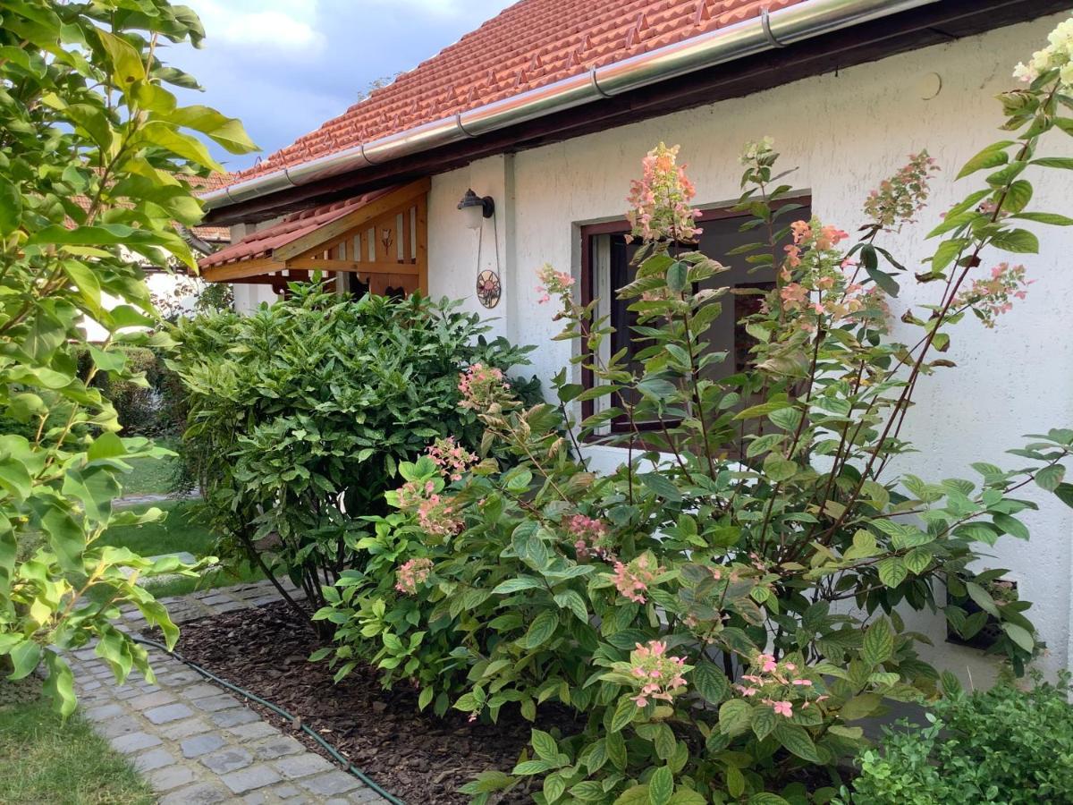 Apartament Magnolia Garden Miszkolc Zewnętrze zdjęcie