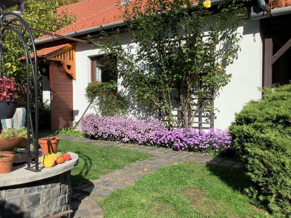 Apartament Magnolia Garden Miszkolc Zewnętrze zdjęcie