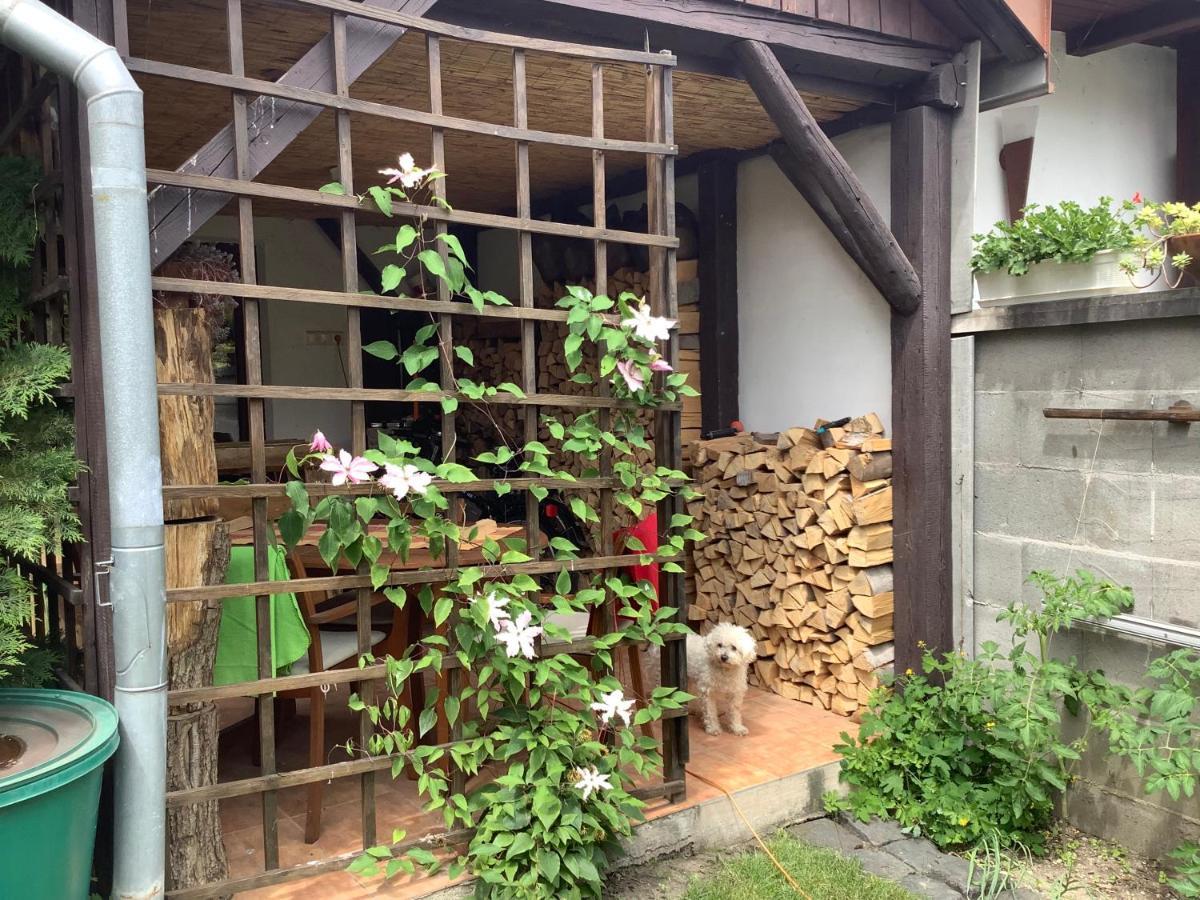 Apartament Magnolia Garden Miszkolc Zewnętrze zdjęcie